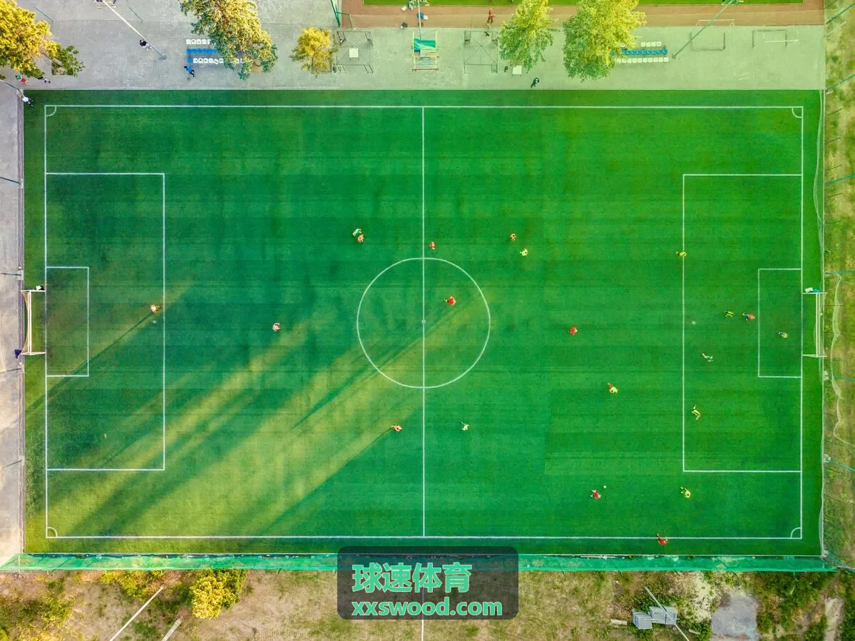 球速体育综合运动会案例